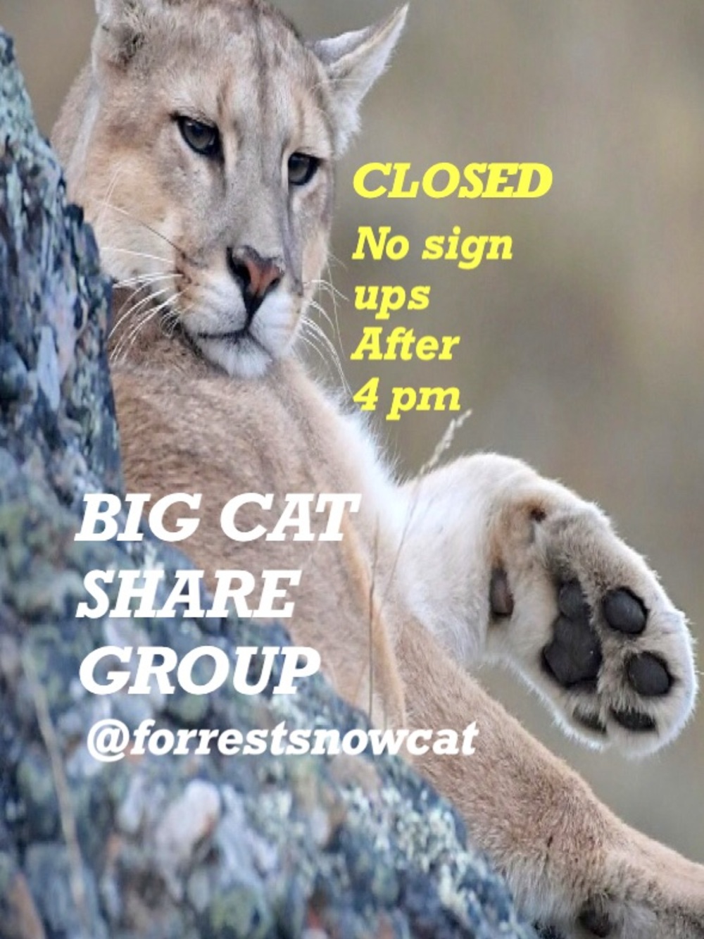 BIG CAT SHARE GROUP   TUESDAY 9/22 CLOSED
